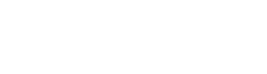 Fitz · Training & Health